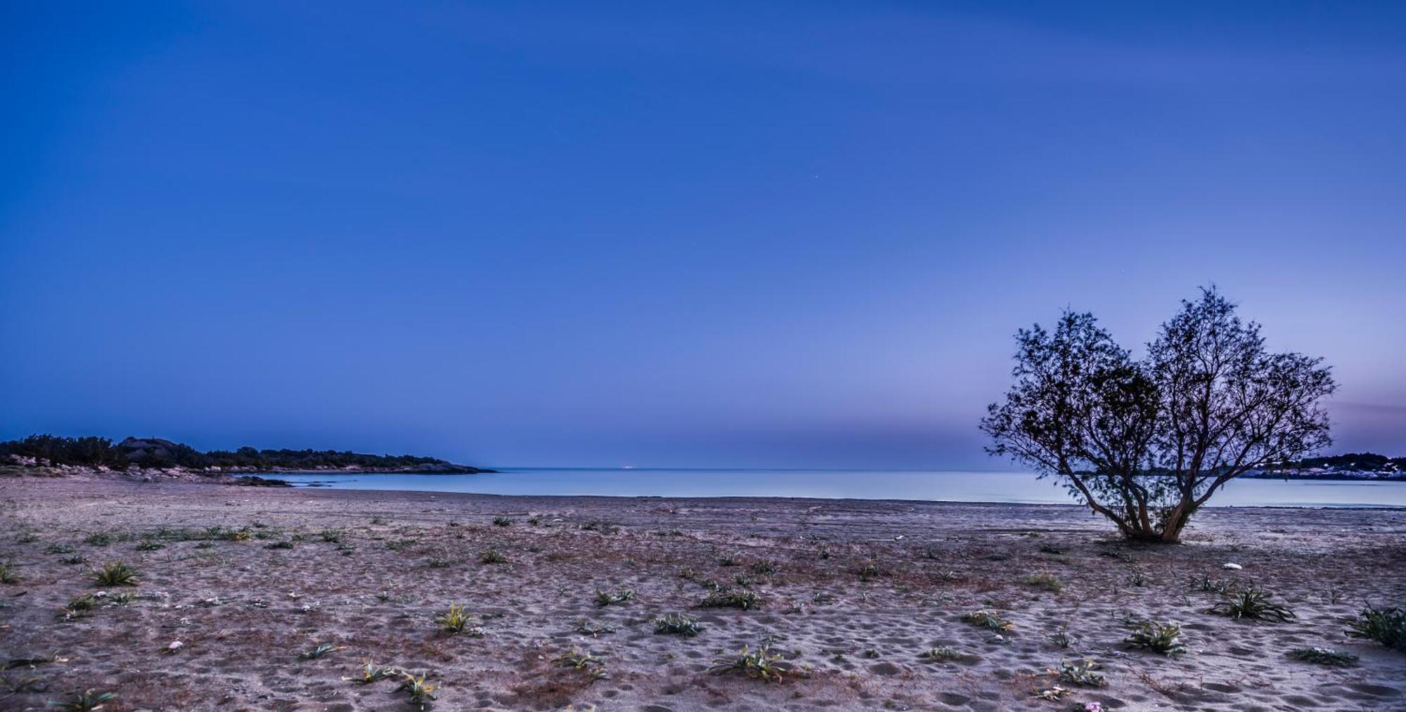 Cedar Bay Beachside Villas Palaiochora Ngoại thất bức ảnh